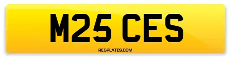 M25 CES