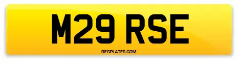M29 RSE
