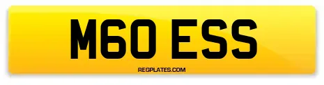 M60 ESS