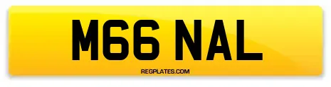 M66 NAL