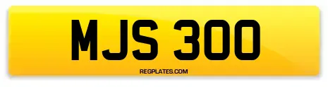 MJS 300