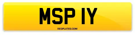 MSP 1Y