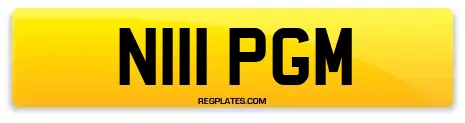 N111 PGM