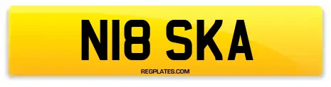 N18 SKA