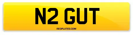 N2 GUT