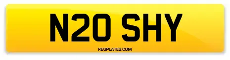 N20 SHY