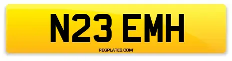 N23 EMH