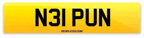 N31 PUN