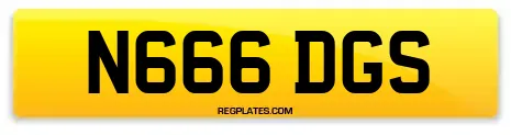 N666 DGS
