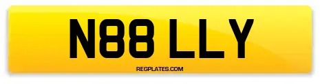 N88 LLY