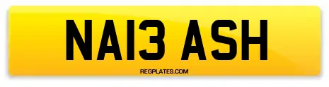 NA13 ASH