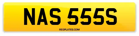 NAS 555S