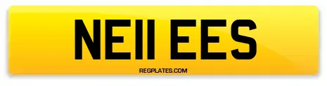 NE11 EES