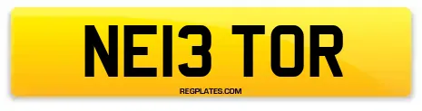 NE13 TOR