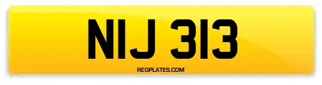 NIJ 313