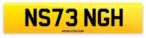 NS73 NGH