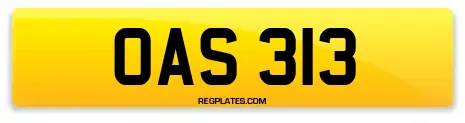OAS 313