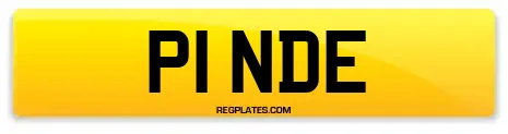 P1 NDE