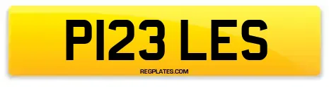 P123 LES