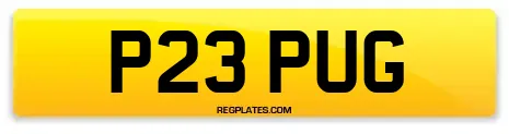 P23 PUG