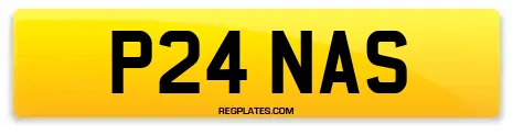 P24 NAS