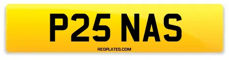 P25 NAS