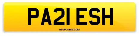 PA21 ESH