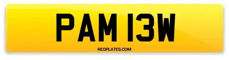 PAM 13W