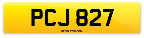 PCJ 827