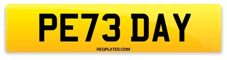 PE73 DAY