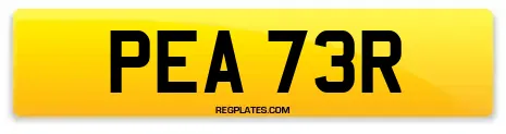 PEA 73R