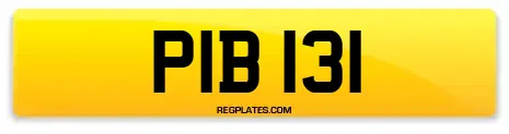 PIB 131