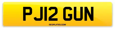 PJ12 GUN