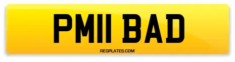 PM11 BAD