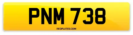 PNM 738