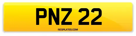 PNZ 22