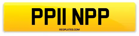 PP11 NPP