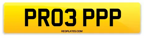 PR03 PPP