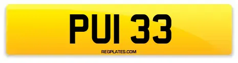 PUI 33