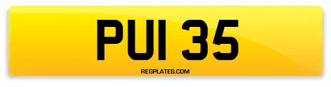 PUI 35