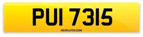 PUI 7315