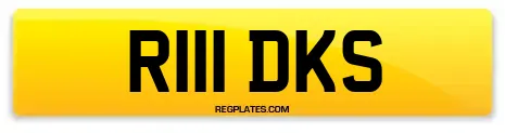 R111 DKS