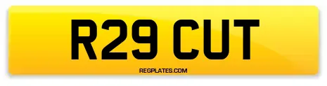R29 CUT