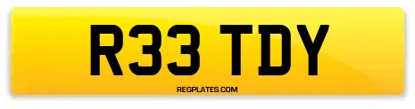 R33 TDY