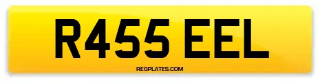 R455 EEL