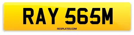 RAY 565M