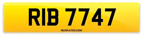RIB 7747
