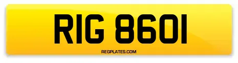 RIG 8601