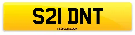 S21 DNT