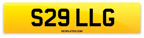 S29 LLG